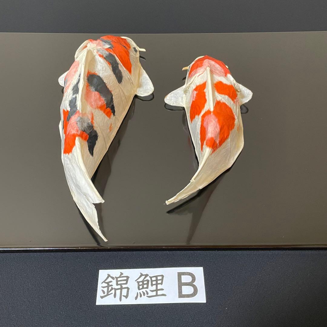 張子　錦鯉 B ツヤなし