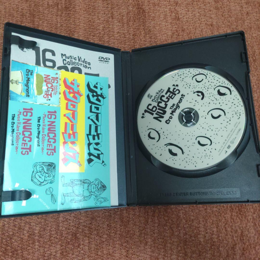 ザ・クロマニヨンズのパーカー※写真少し追加しました