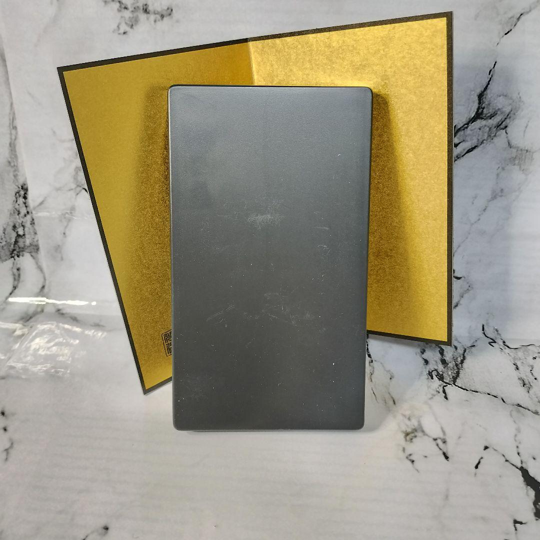 ポケモン　陶飾り　ライコウ　薬師窯コラボ　2021年　正月　干支　寅　ピカチュウ