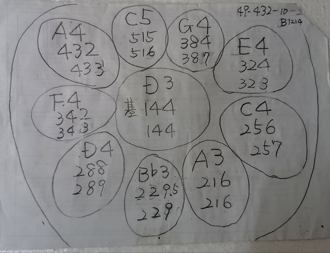 ハンドパン　小さめの49センチ Dマイナー 10音　A＝432Hz 新品