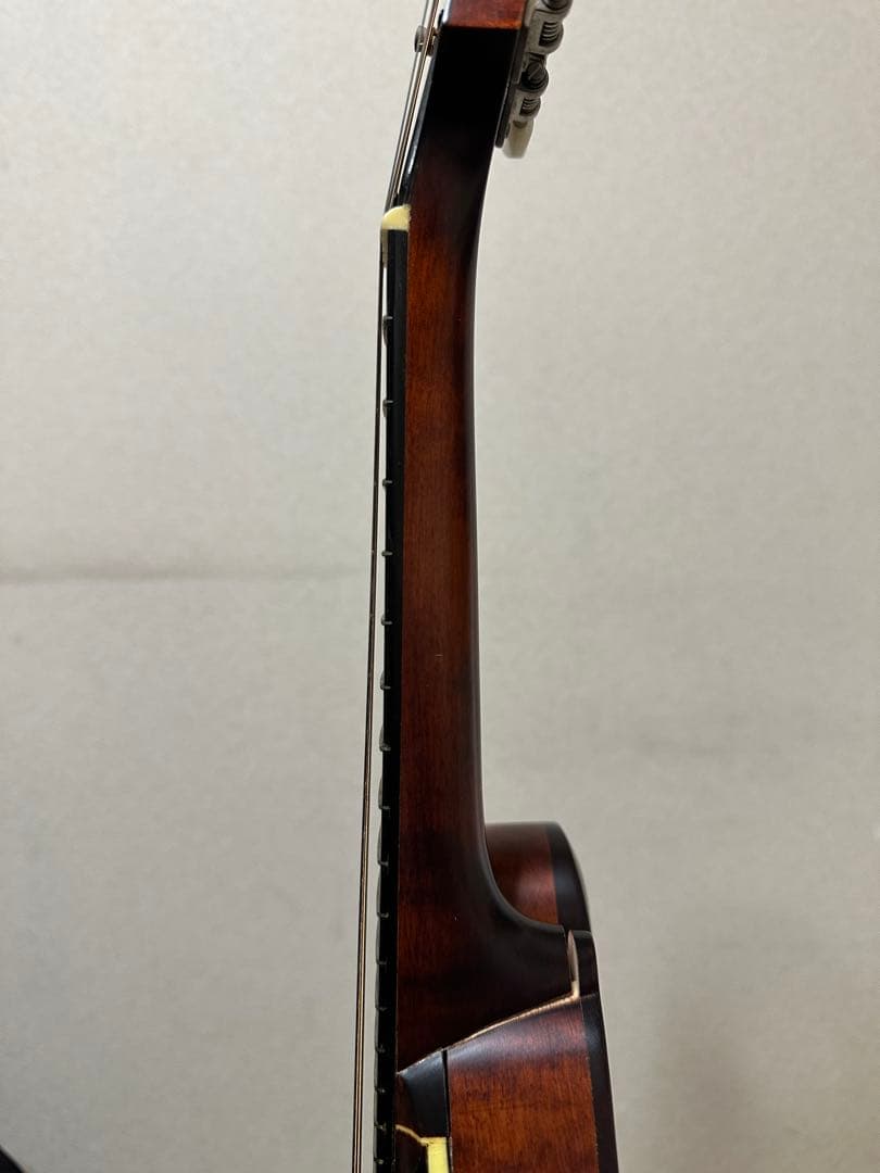 弦楽器 Eastman MD315/Antique Red