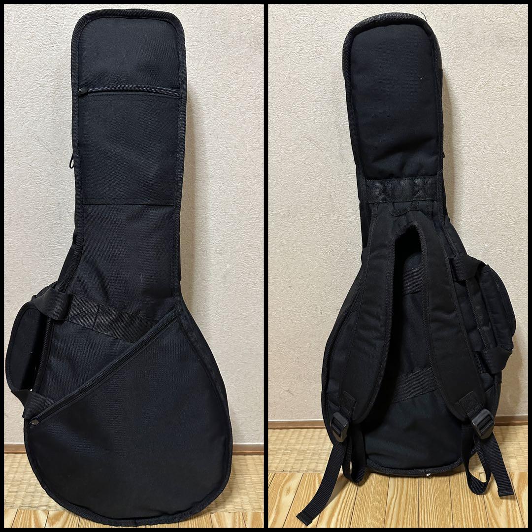 弦楽器 Eastman MD315/Antique Red