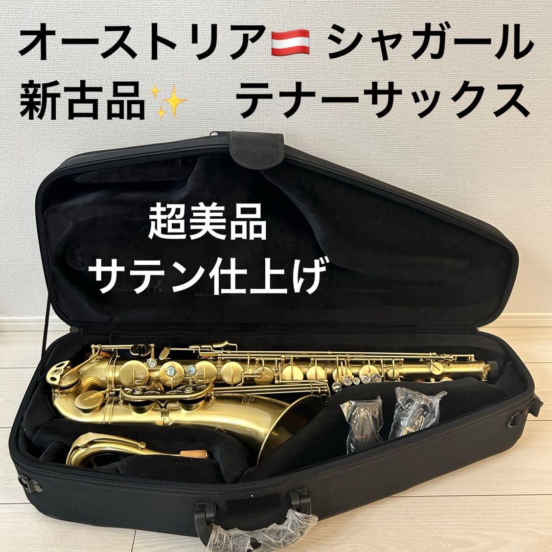 新古品【オーストリア】Schagerl Amadeusサテンテナーサックス