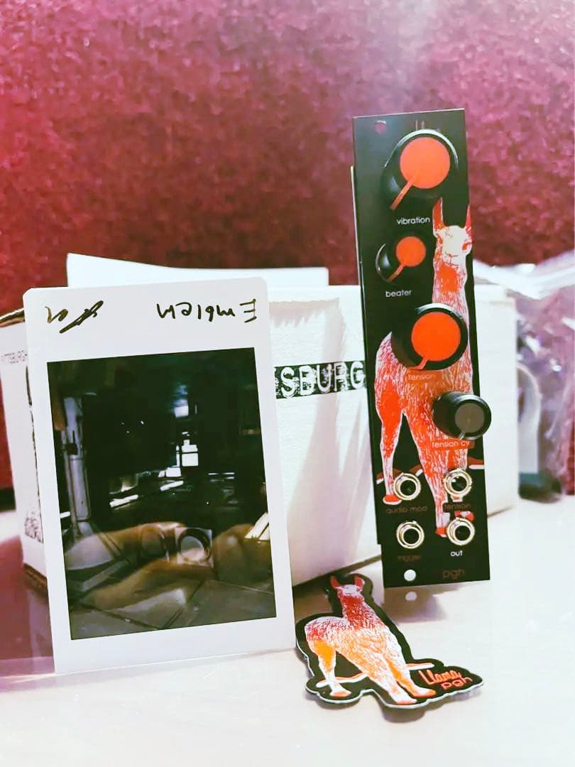 DTM・DAW PittsburghModular Safari Llama KickDrum