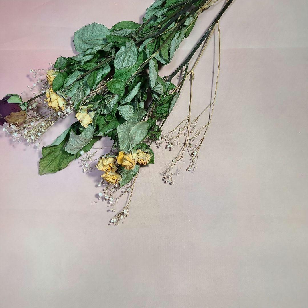 ブライスアウトフイット(♡ユリシス♡)