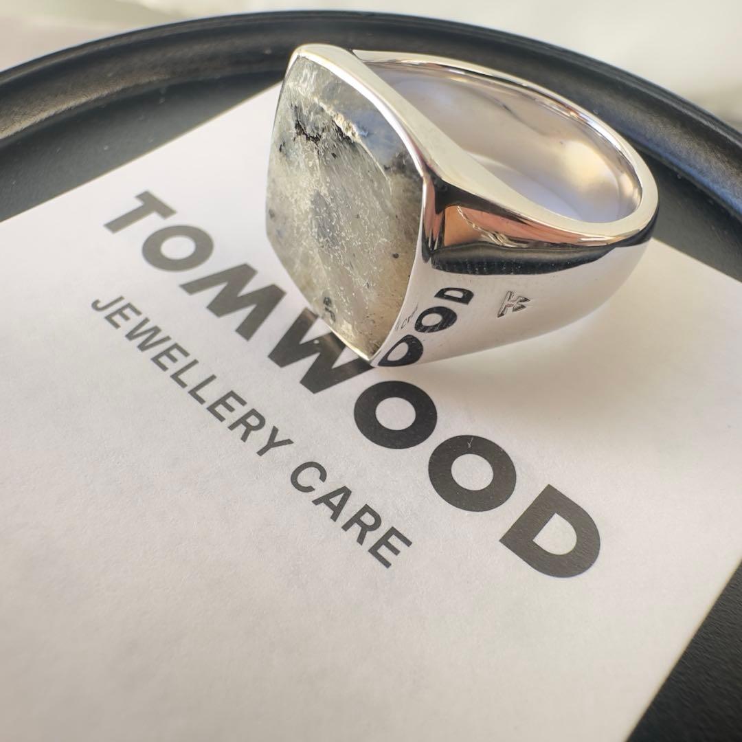 【極美品・定価8.45万円・g58(18)】 Cushion Larvikite