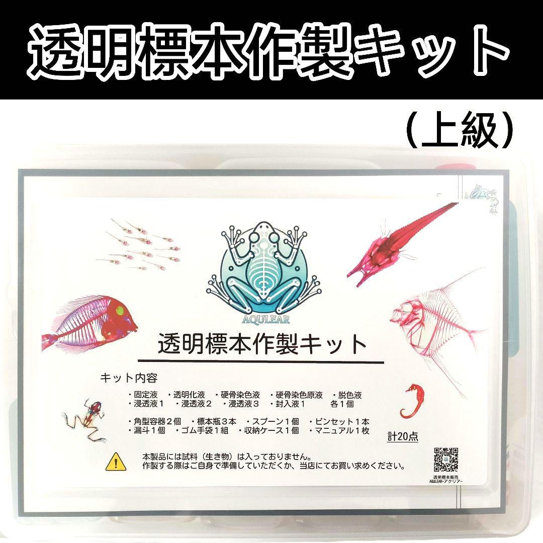 【透明標本作製キット】(上級) 20点　自由研究 学習教材 改良版