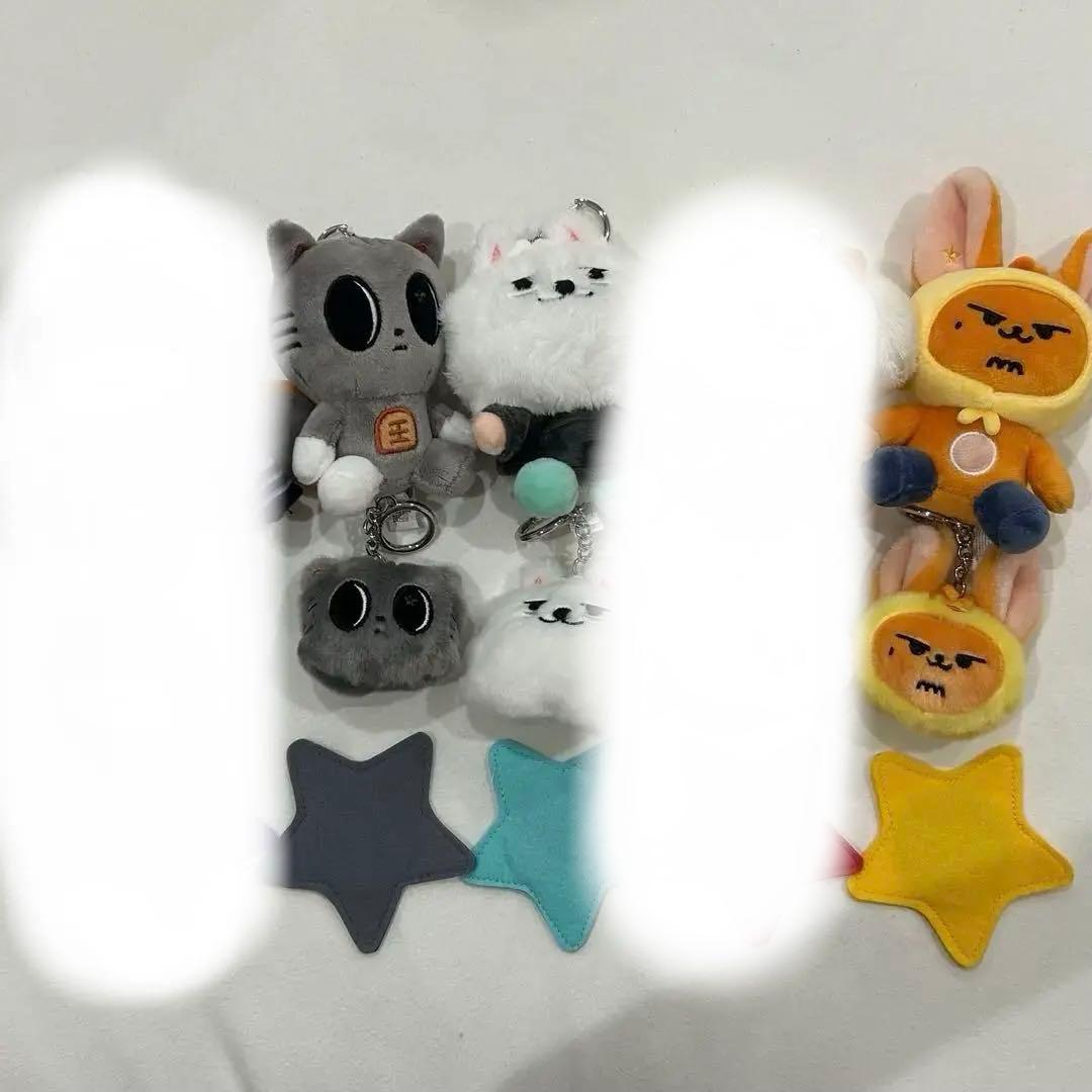 txt キーリング　お座り　フェイス　プルバトゥ　コンプ