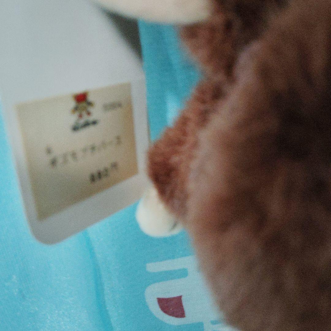 グレムリン2 ギズモ ジュンプランニング　ぬいぐるみ　キーホルダー　マスコット