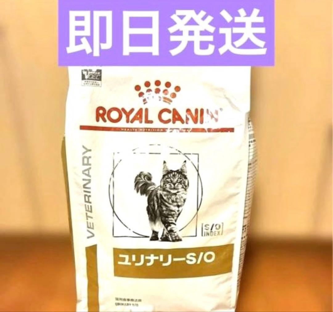 正規品 ロイヤルカナン ユリナリー-S/O 4kg