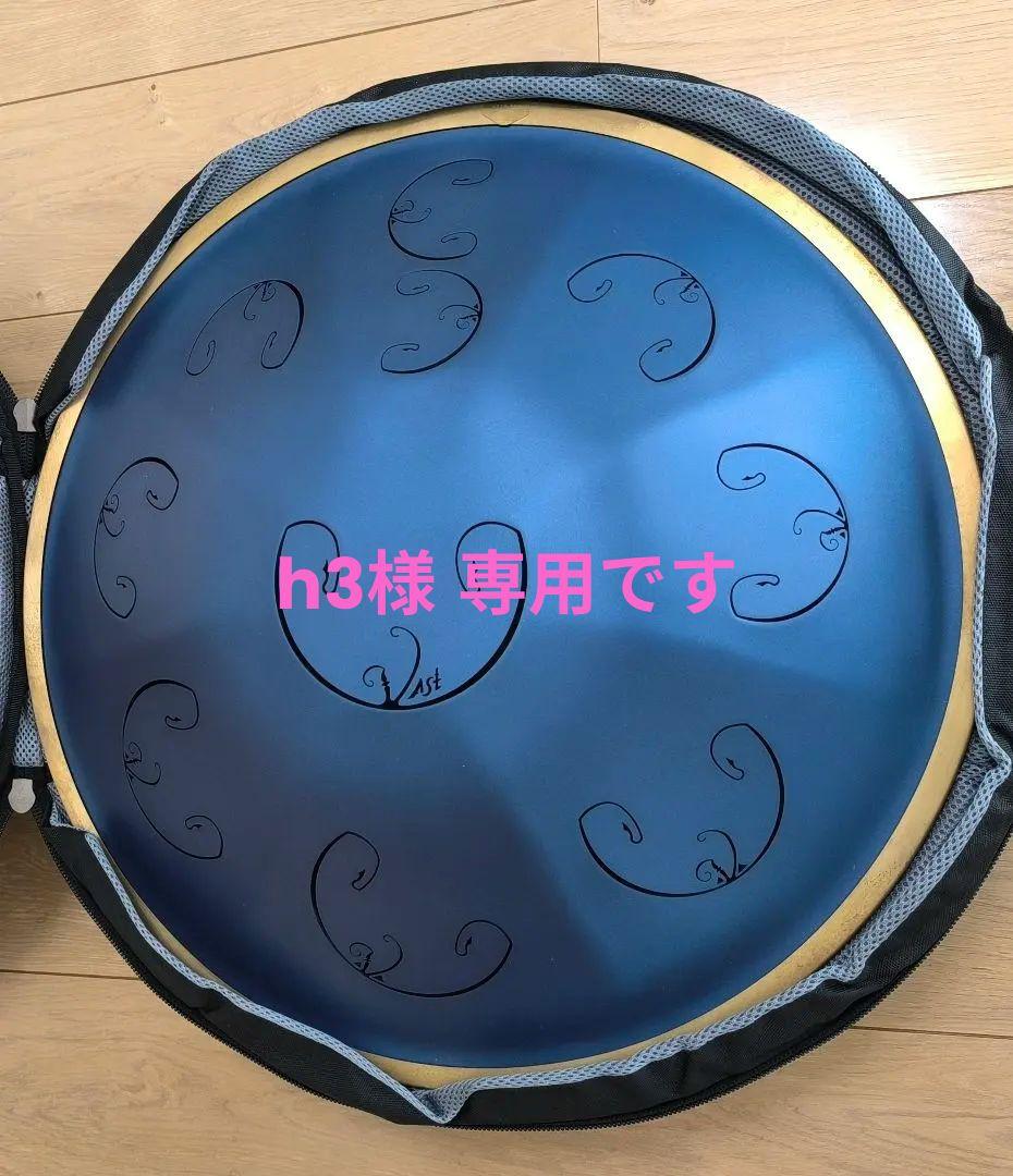 RAV Vast B Kurd ＆ Hard case ラブドラム