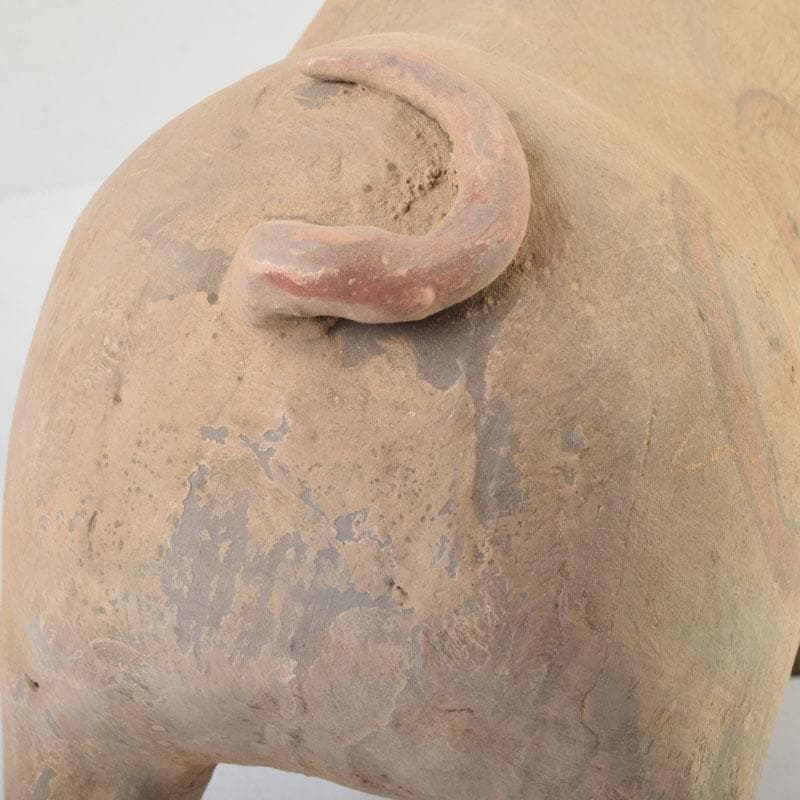 中国　加彩　豚俑　陶俑　置物　V　9049AE