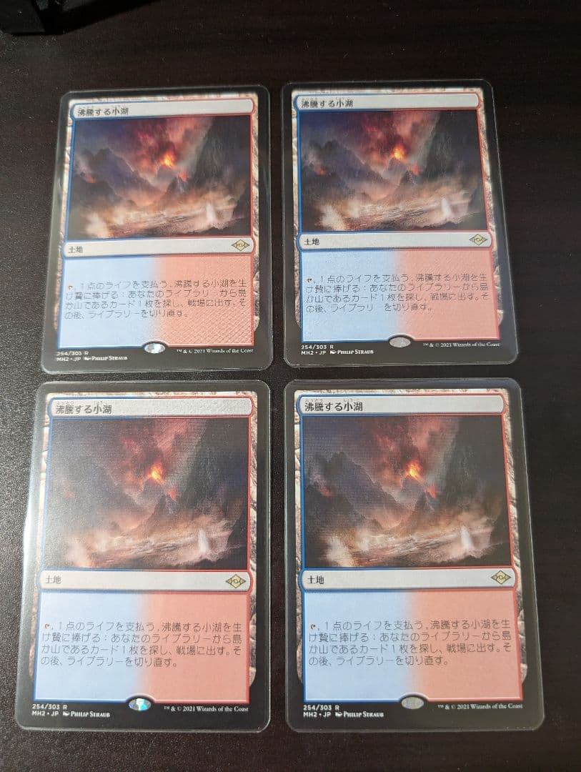 沸騰する小湖 日本語4枚セット