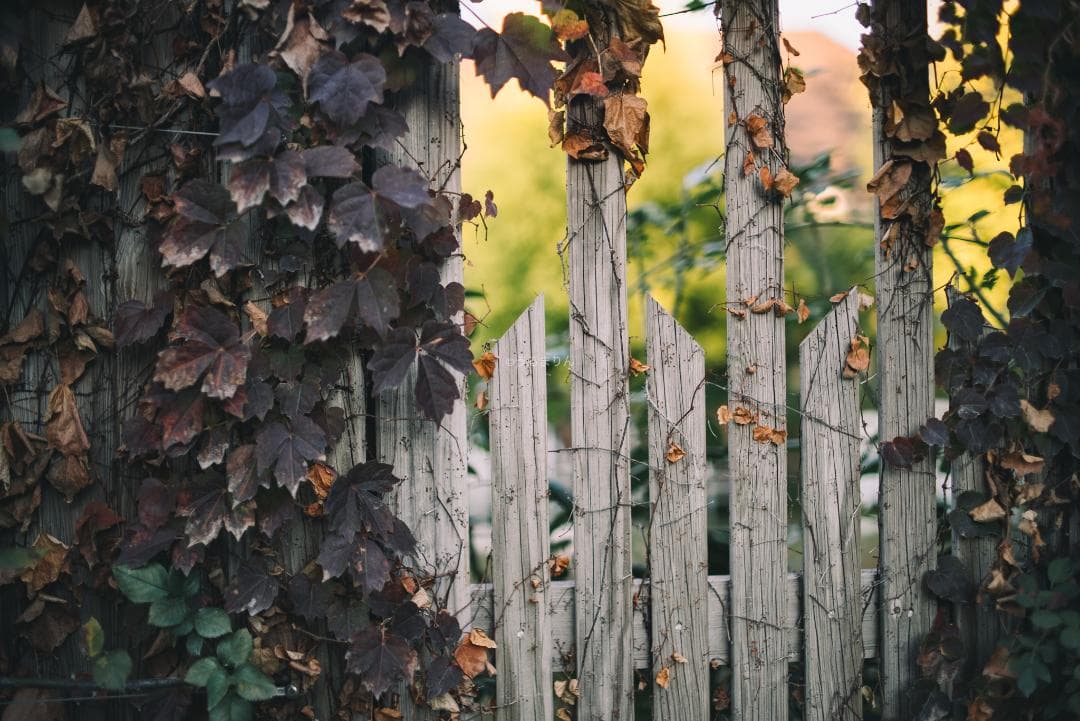 弩級の広角F1.4！Distagon 35mm F1.4 AEG