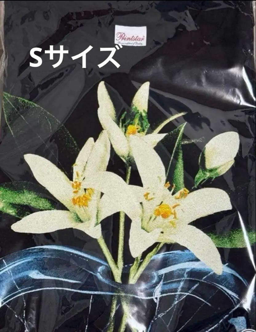 TENBLANK×©SAINT Mxxxxxx スペシャルコラボ Tシャツ　S