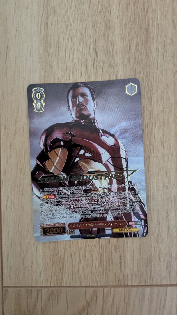 ヴァイスシュヴァルツ　暴走する人工知能との戦い アイアンマン