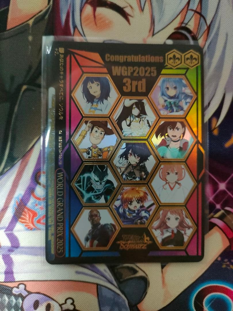 WORLD GRAND PRIX 2025　3rd