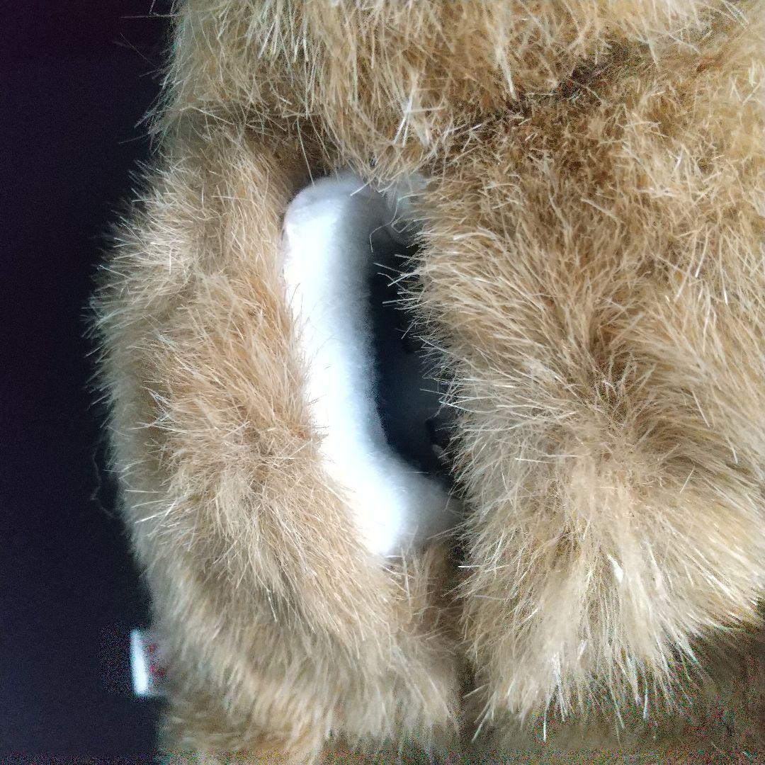 ウサギ　うさぎ