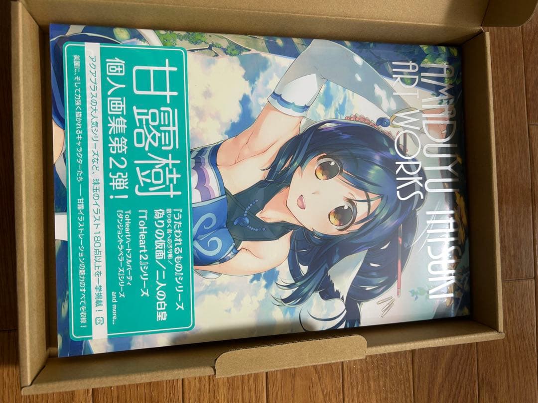 みつみ美里 甘露樹　ART WORKS 限定版 コミケ アクアプラス 画集