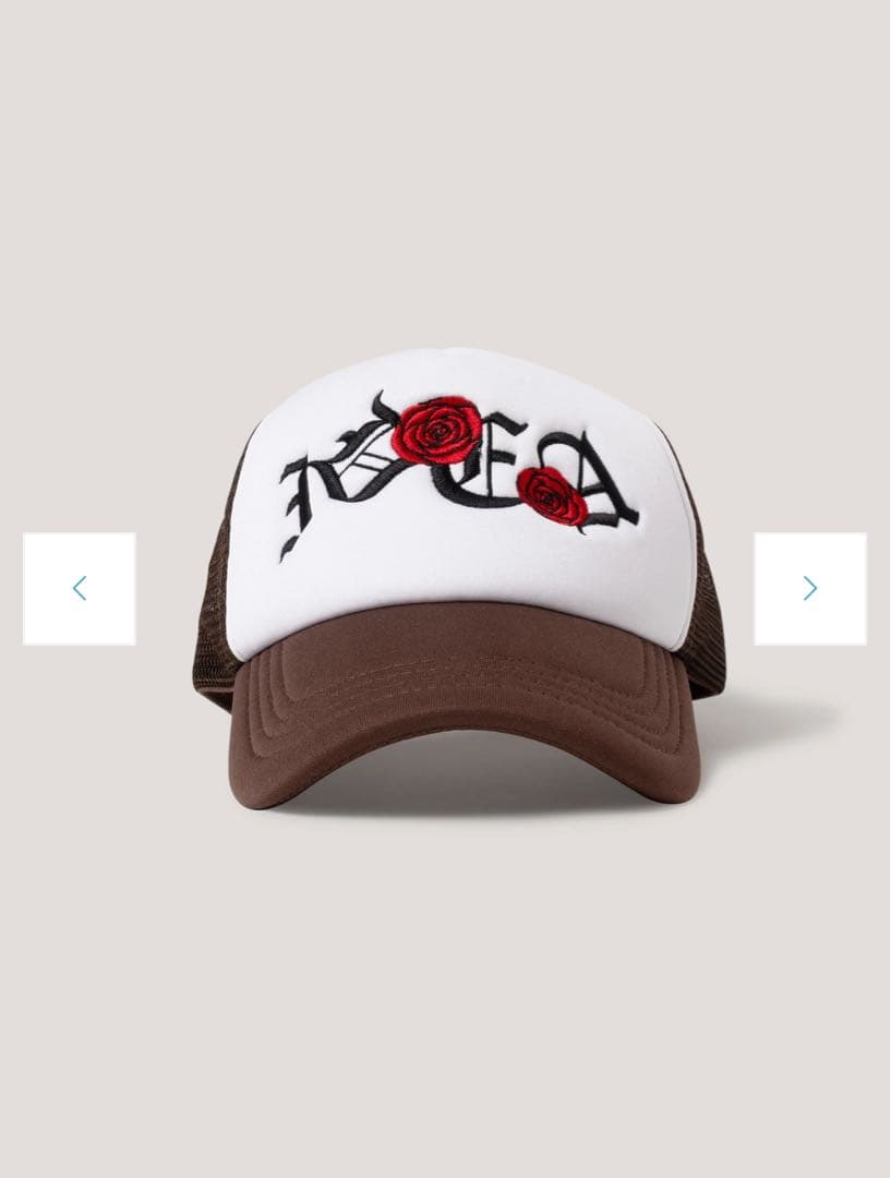 ぴ*様 ideaswam イデアスワム メッシュキャップ 茶色