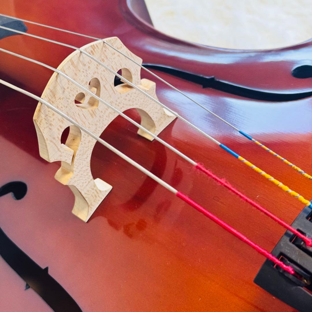 Carlo Giordano カルロジョルダーノ SC-80 4/4 チェロ