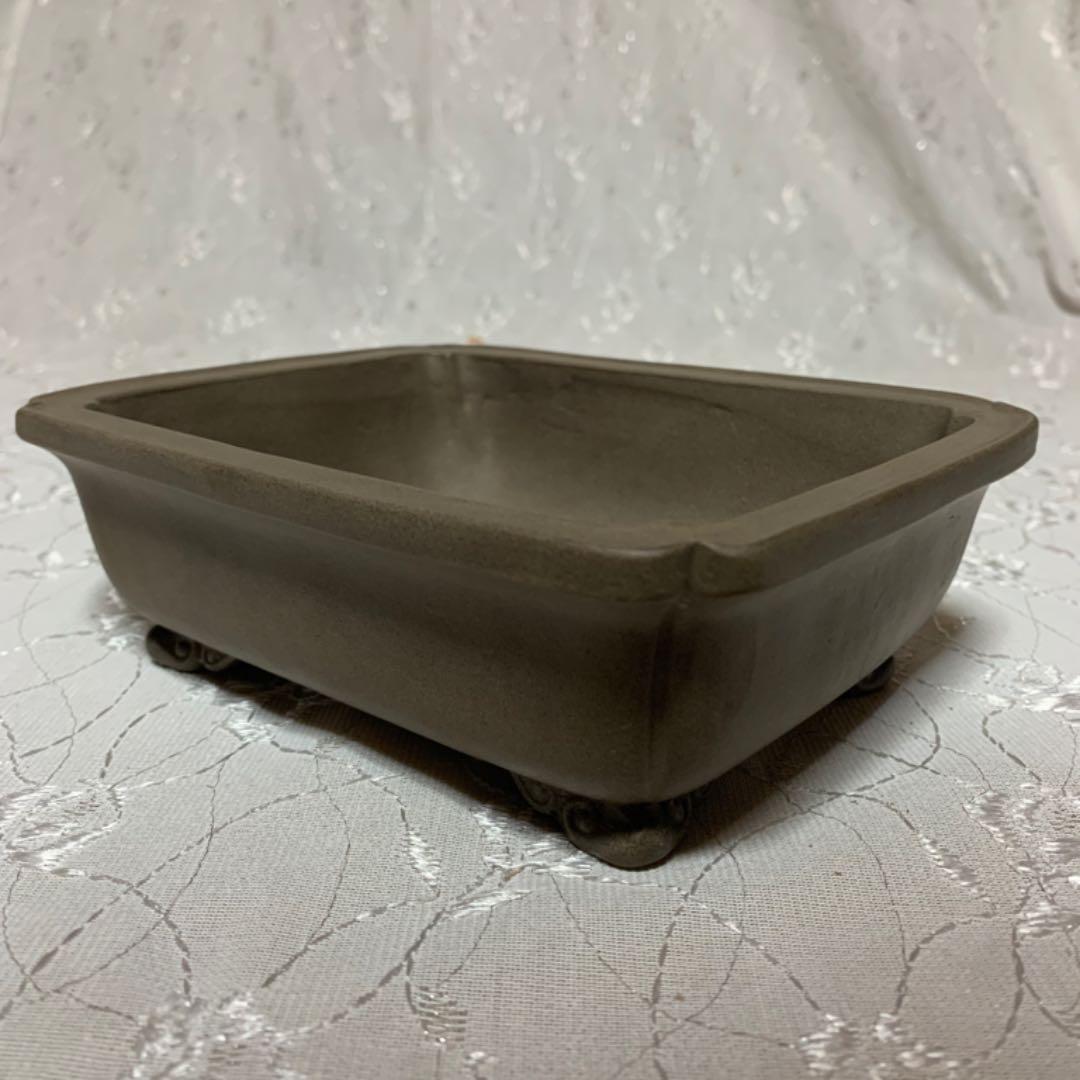 中国鉢　長方　盆栽鉢