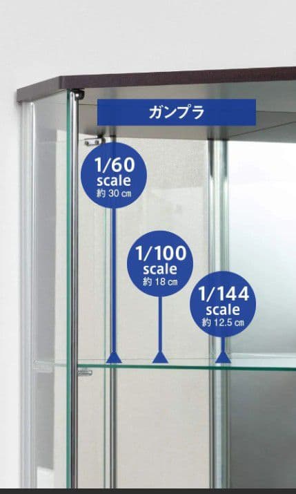 強化ガラス コーナータイプ 高級ショーケース 完成品