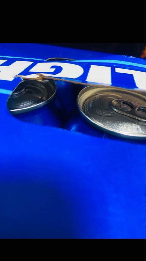 Bud LIGHT バドライト 355ml × 30缶