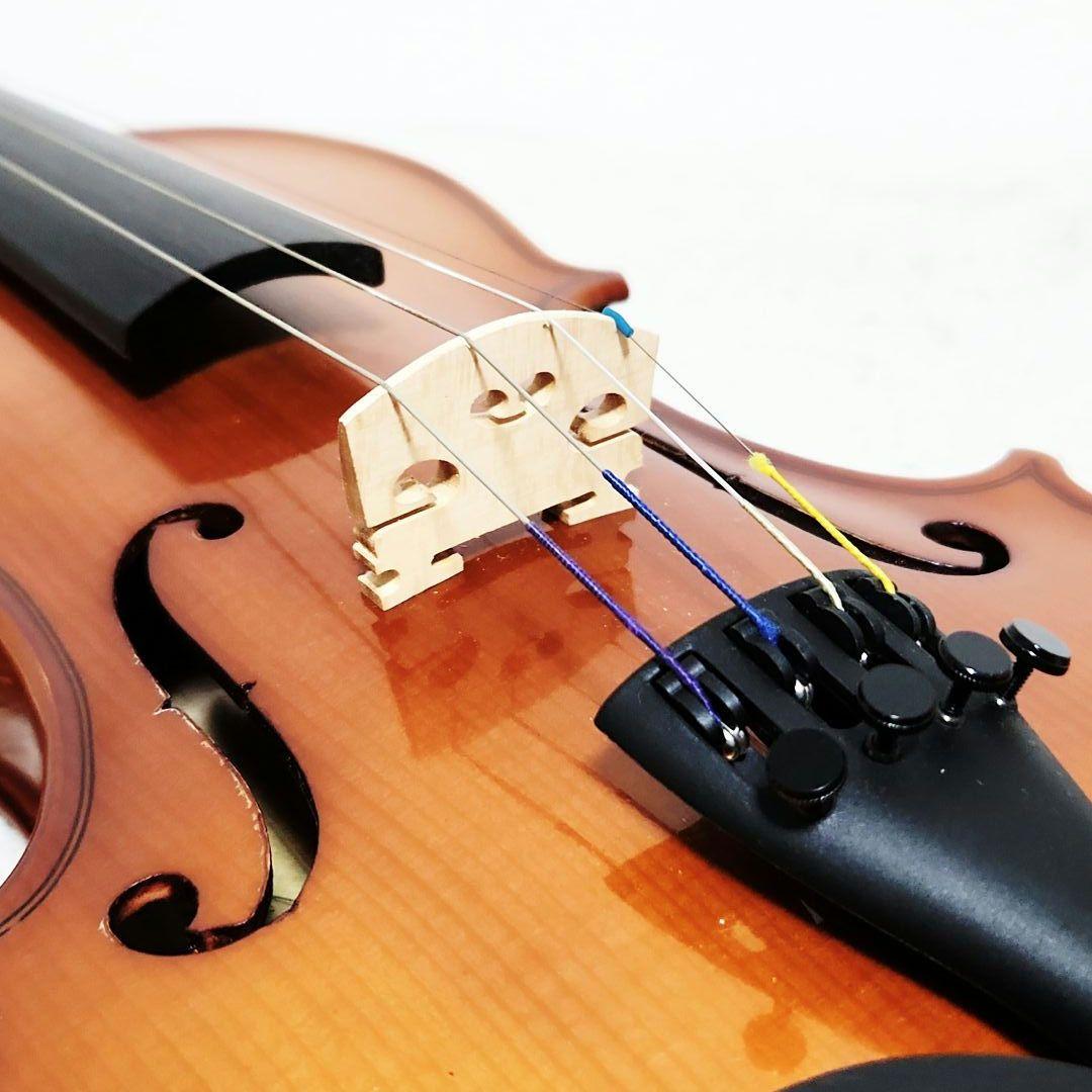 Carlogiordano VS-F1 3/4 カルロジョルダーノ バイオリン