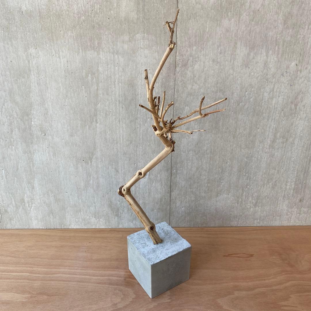 【コンクリート盆栽 流木オブジェ】ディスプレイ アート インテリア 鍵 爬虫類