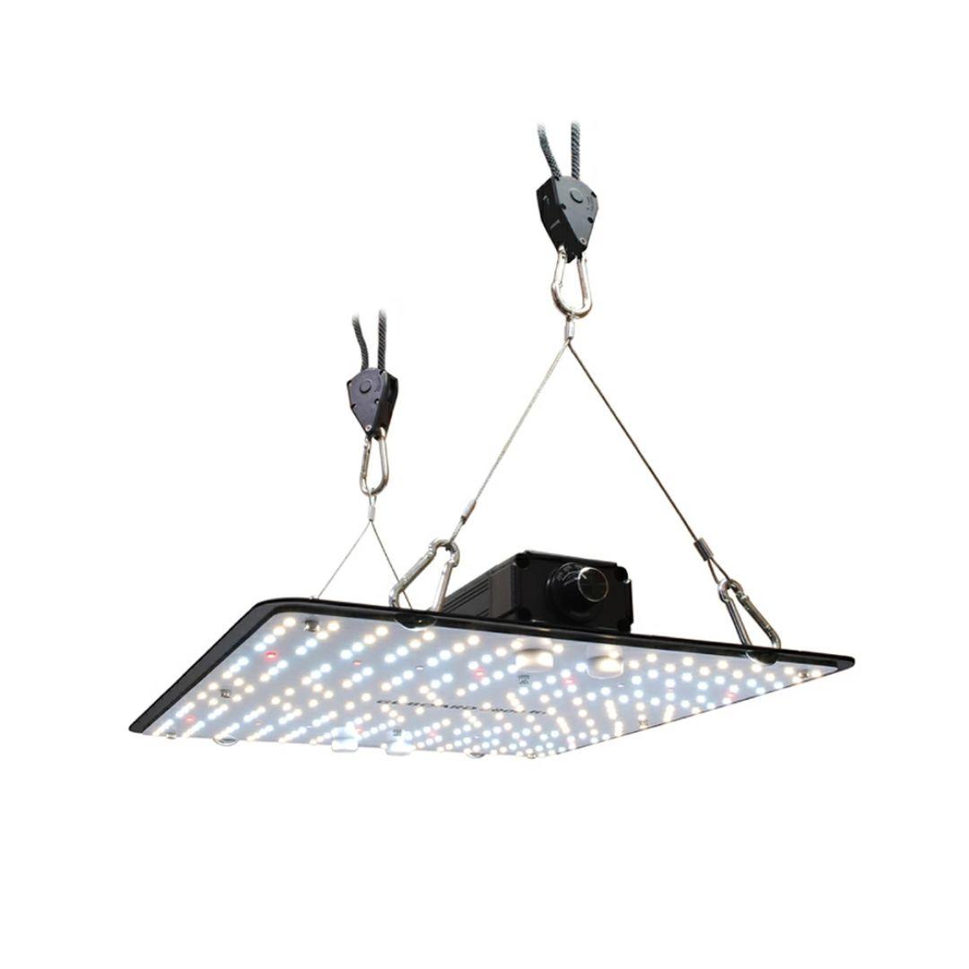 HaruDesign 植物育成LEDライト GL-BOARD 5000 アガベ