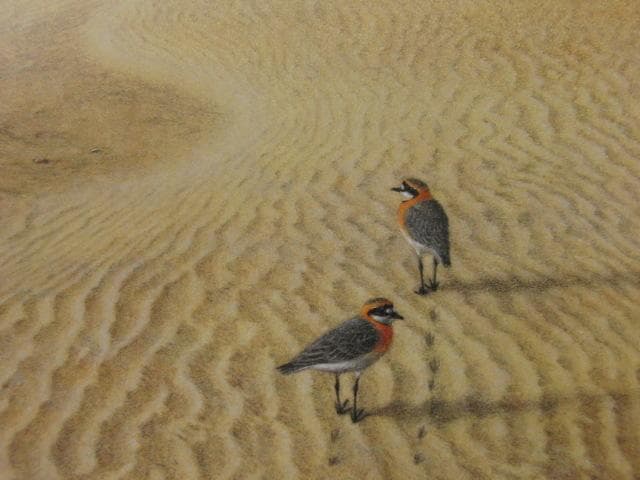 内藤五琅、【朝の砂】、希少な額装用画集より、新品額装付、状態良好