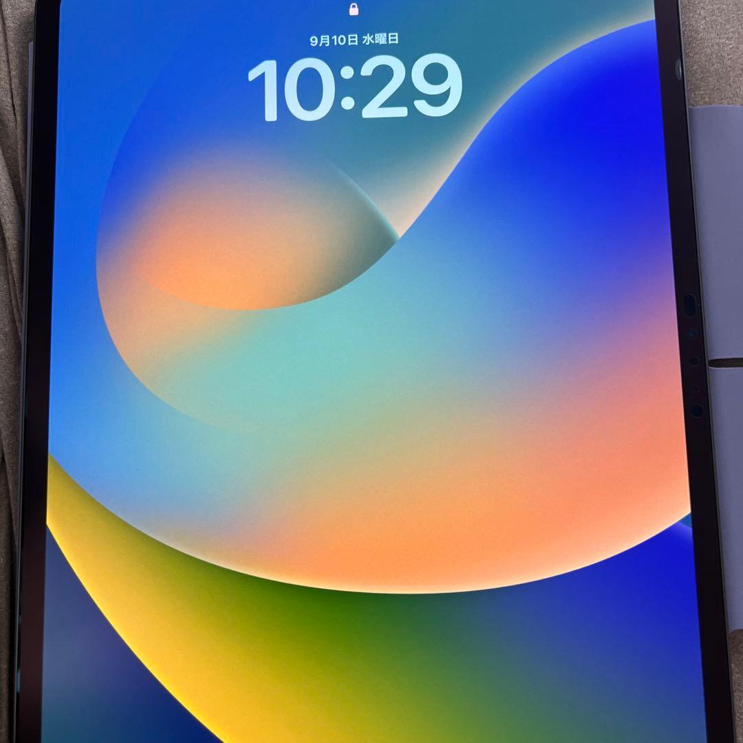 iPad Pro M4 13インチ　256GB