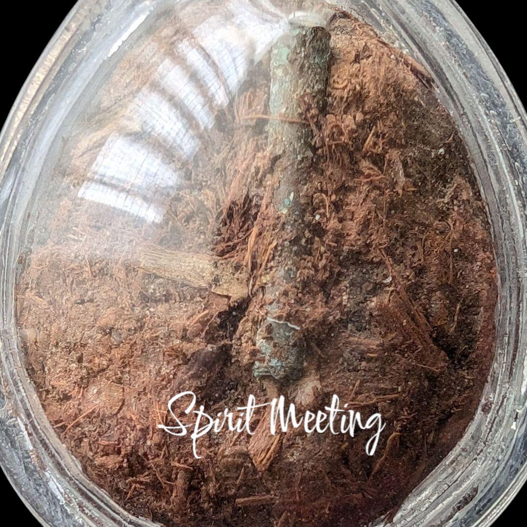 富を吸着する霊草の御神体　クメール聖域魔術　ルアンプーウドムサップ師