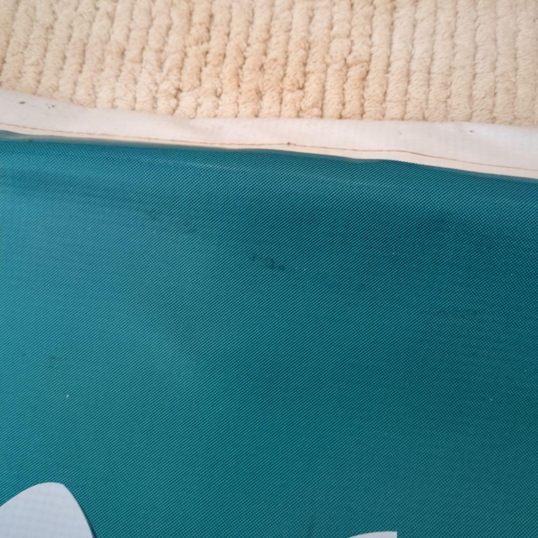 ディズニー ポカホンタス ポスター　タペストリー　壁掛け