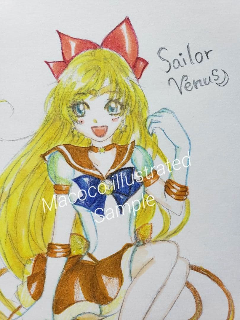 【ひめにゃん】セーラーマーキュリー、セーラーマーズ、セーラーヴィーナス