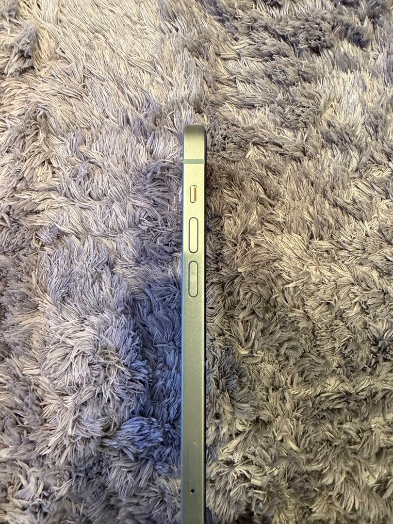 Apple iPhone 12ミントグリーン 本体