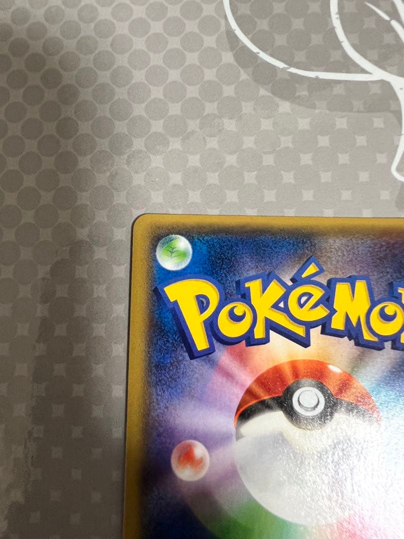 センパイとコウハイ　sr【美品】