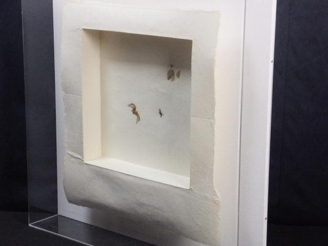 現代美術 井田照一　直筆サイン 作品証明書『垂直と地平線の間-昆虫』1205G