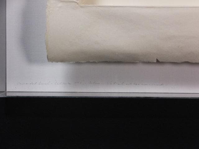 現代美術 井田照一　直筆サイン 作品証明書『垂直と地平線の間-昆虫』1205G