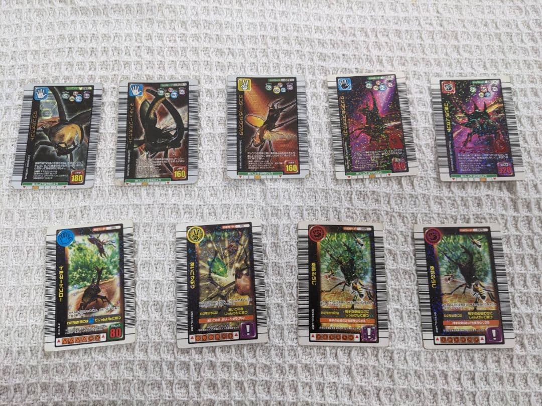 昆虫トレーディングカードセット