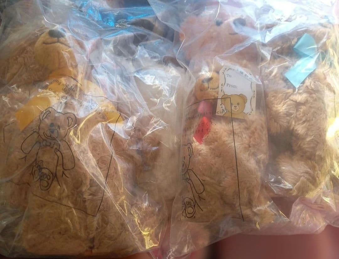 ハニーテディベア★ファミリー★ベビー、ガール、ボーイぬいぐるみ&バックパック