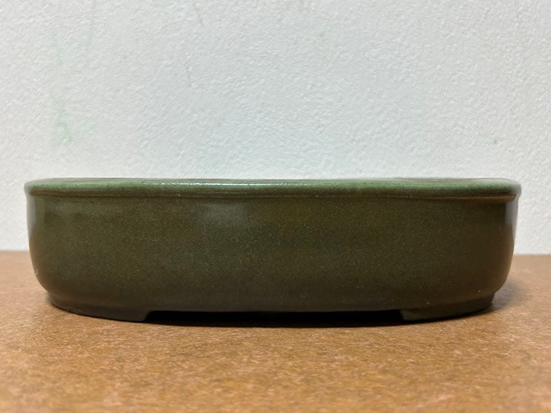 鴻陽　盆栽鉢　小品盆栽　山野草