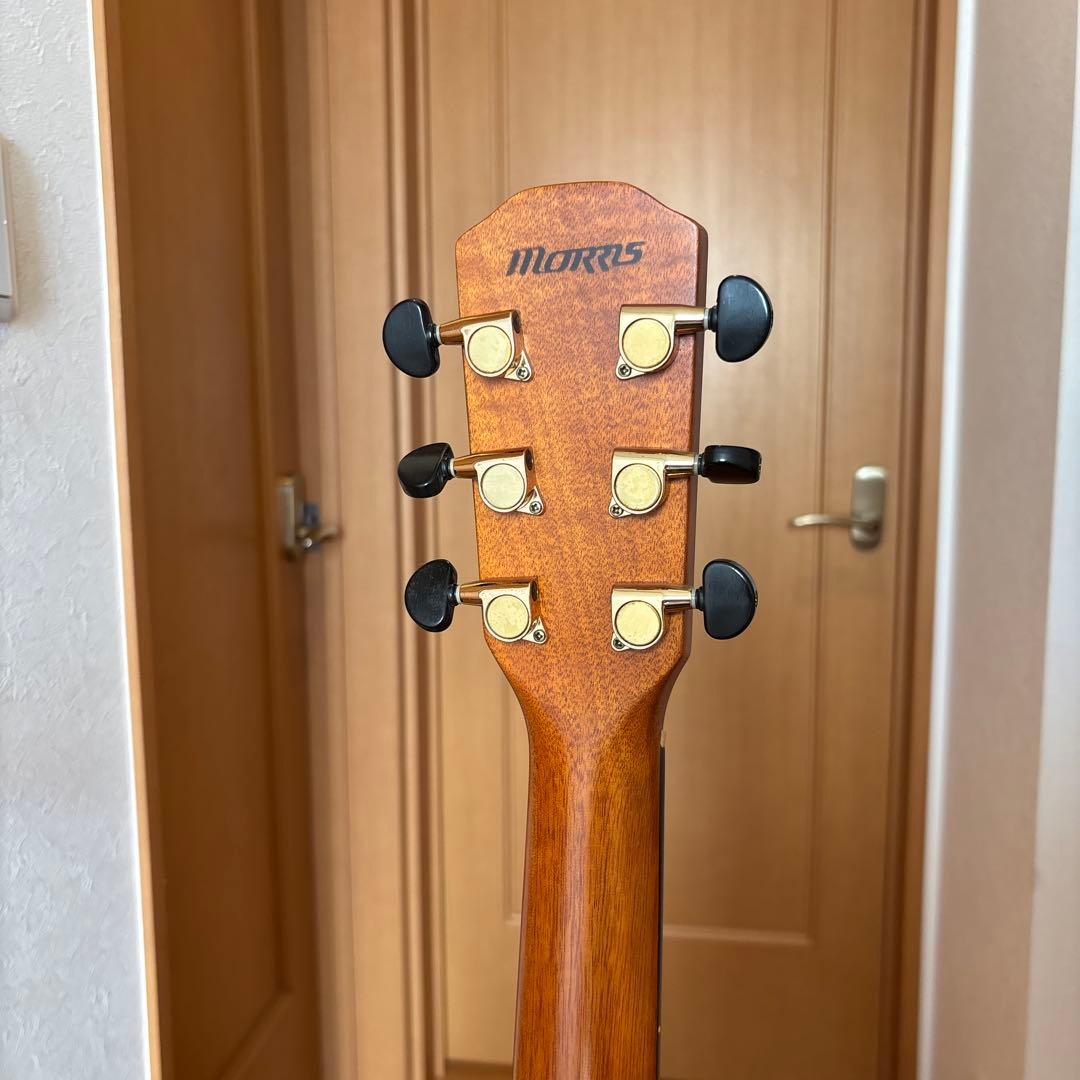 Morris S-60 アコースティックギター