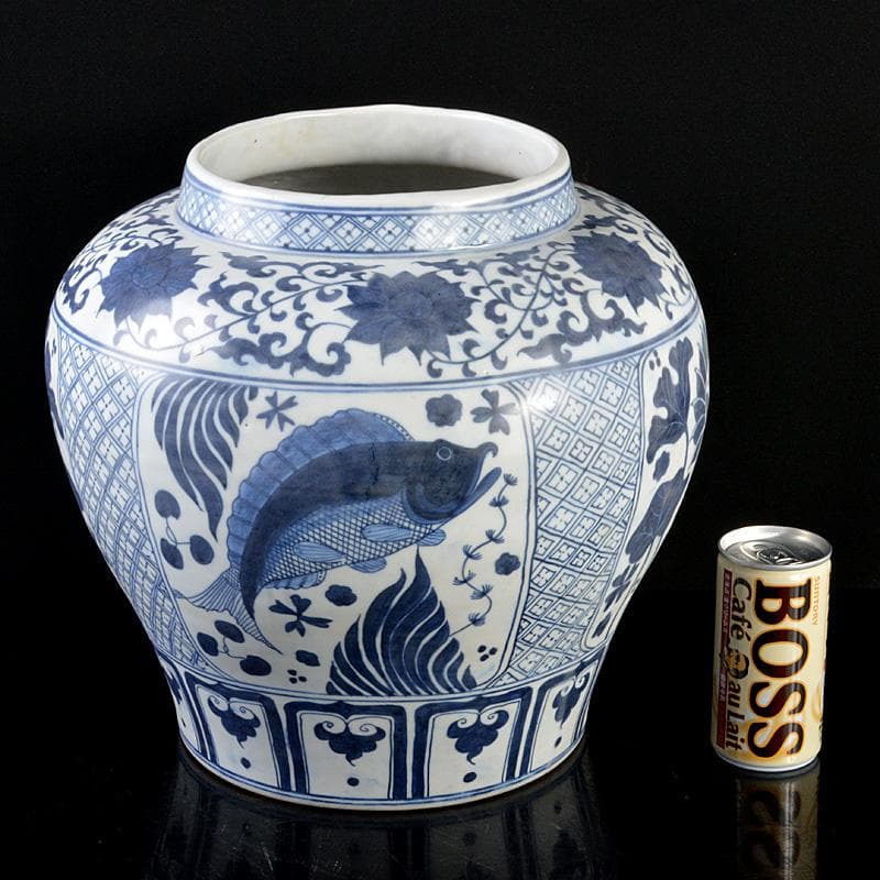 中国　青花　花卉魚藻文瓶　壷　C　R5596C