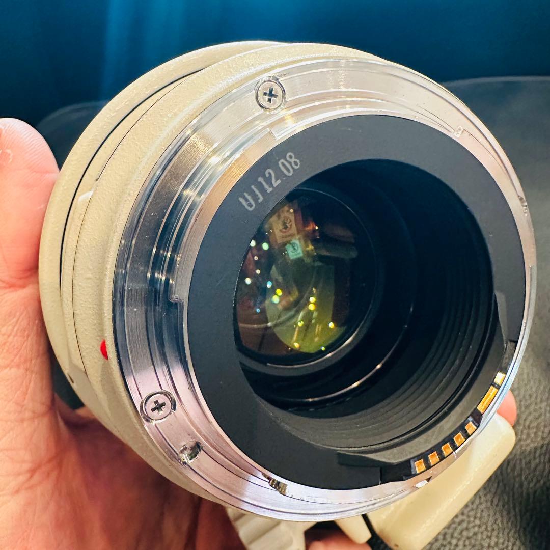 ⭐️美品USED Canon EF 35-350mm ズームレンズ⭐️エクステンダー