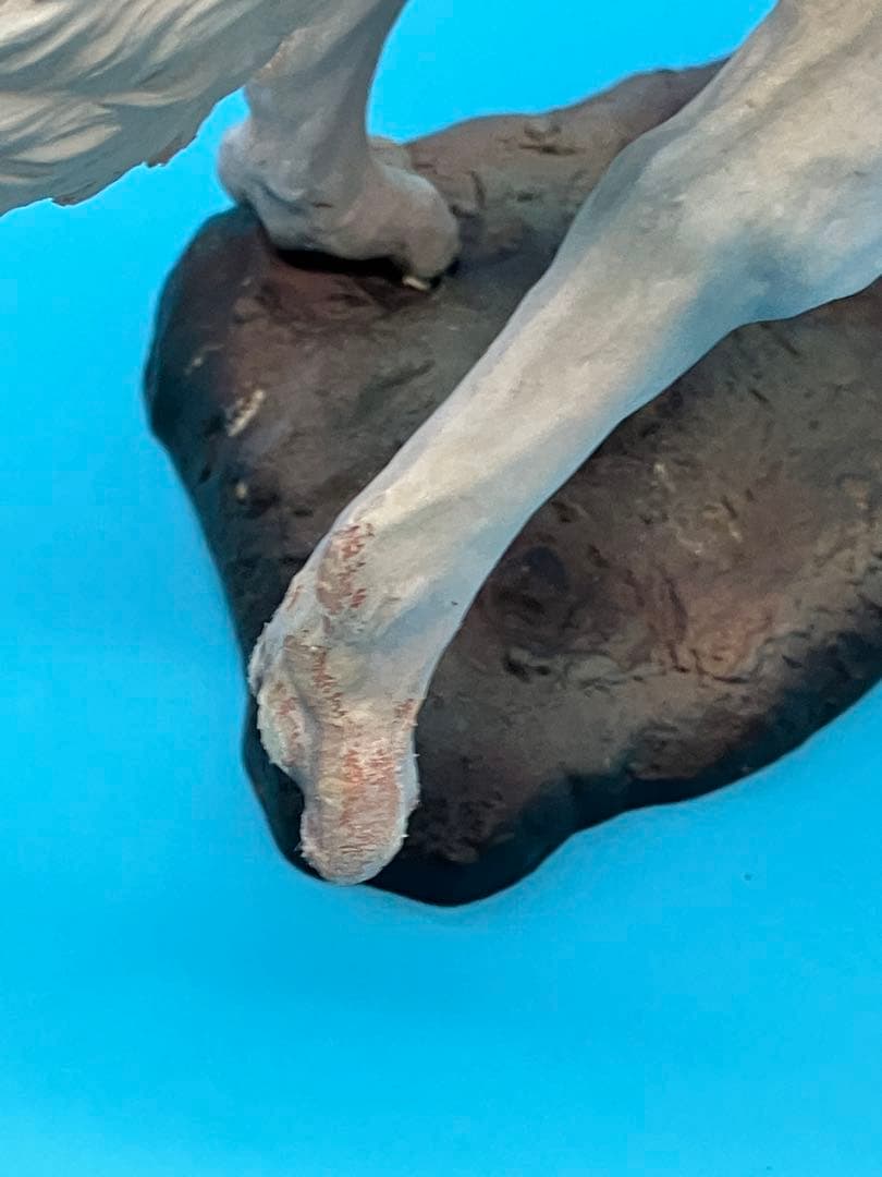 犬神＆サン もののけ姫 フィギュア ジブリ 宮崎駿