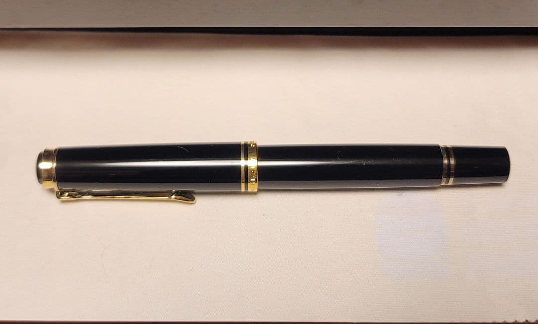 Purple fish　ペリカン　Pelikan万年筆　M600 M