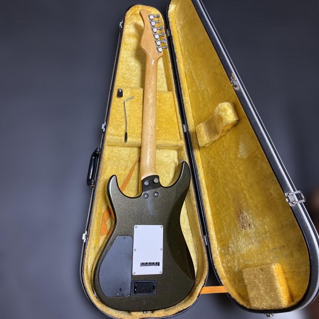 FERNANDES SUSTAINER純正ソフトケース