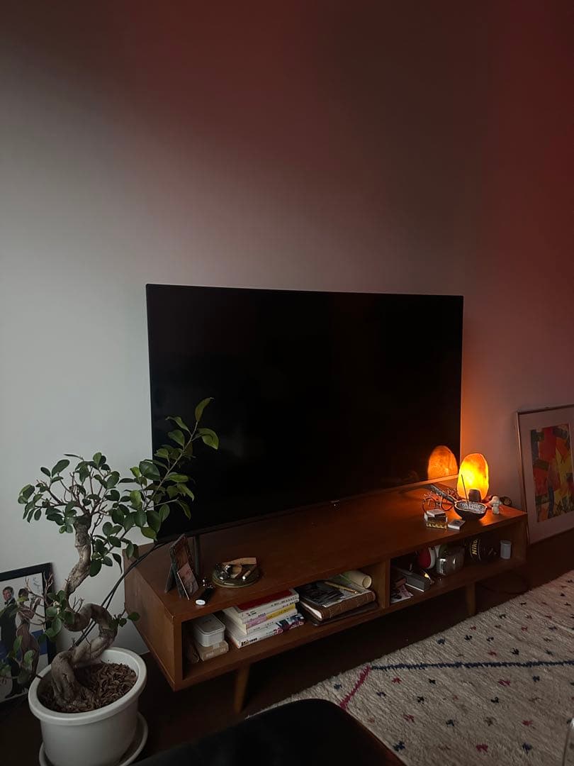 大画面液晶テレビ